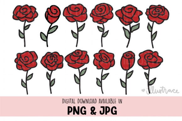 Roses Png, Rose Svg for Graphics and Crafts